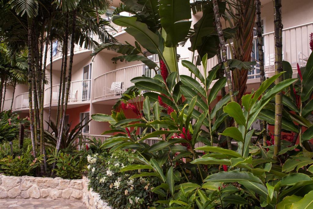Club Wyndham At Waikiki Beach Walk Honolulu Exteriér fotografie